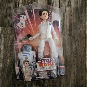 Starwars forces of destiny